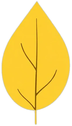 Preocupación
